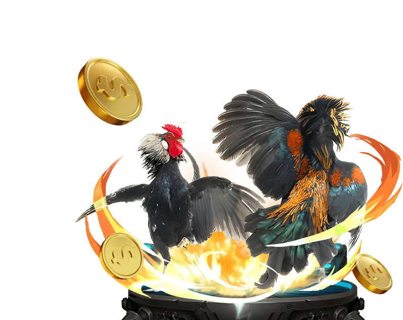 Sứ Mệnh và Tầm Nhìn của Gà Cam 67