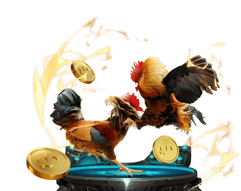 Cam kết dịch vụ Gà Cam 67